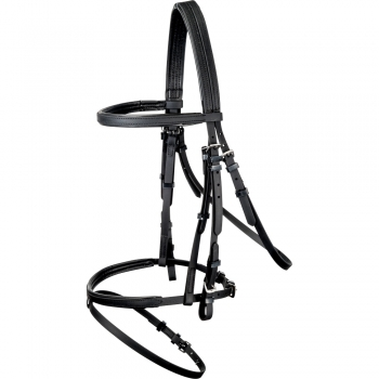 Horse bridle BD-109