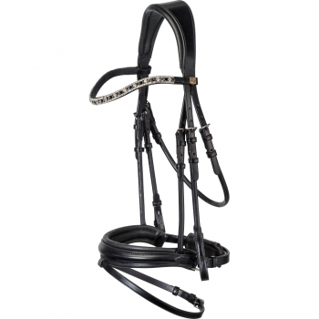 Designer Horse bridle BD-102