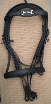 Designer Horse bridle BD-25