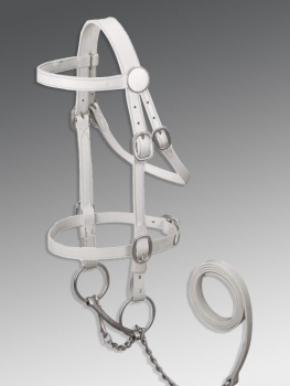 White horse bridle BD-012