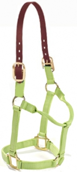 Breakaway horse halter NH-012