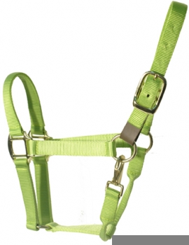 pony halters NH-011