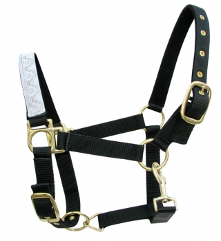 Foal headcollar NH-009