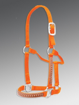 pony halters NH-007