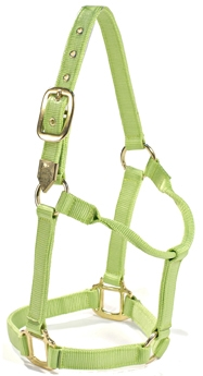 Shetland halter NH-002