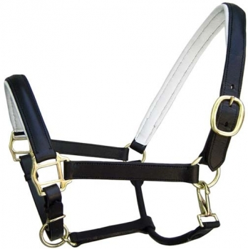 Padded Leather halter LH-06