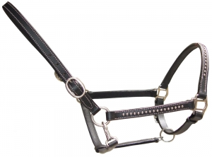 Draft Leather halter LH-03