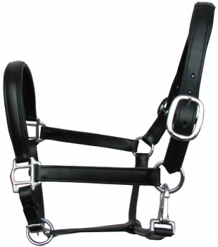 Padded Leather halter LH-02