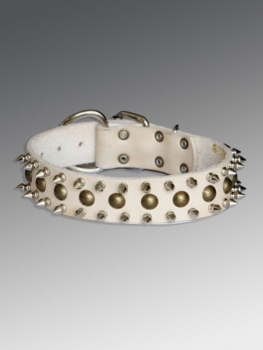 spike dog collar DC -06