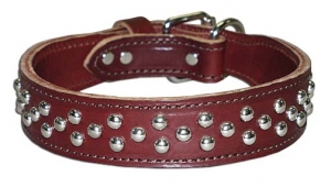 Dog collar dc-004