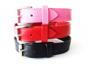 Dog collar dc-001